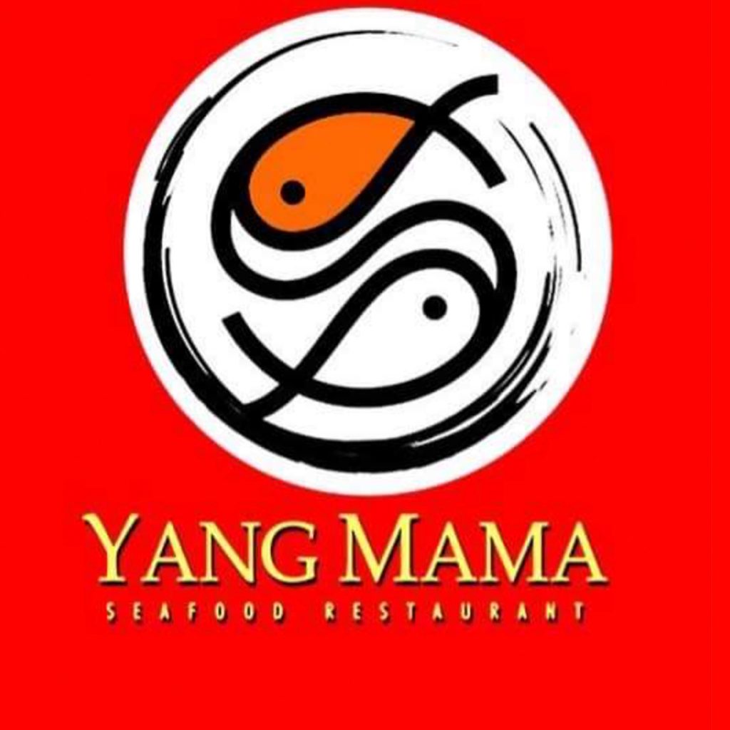 Yang logs